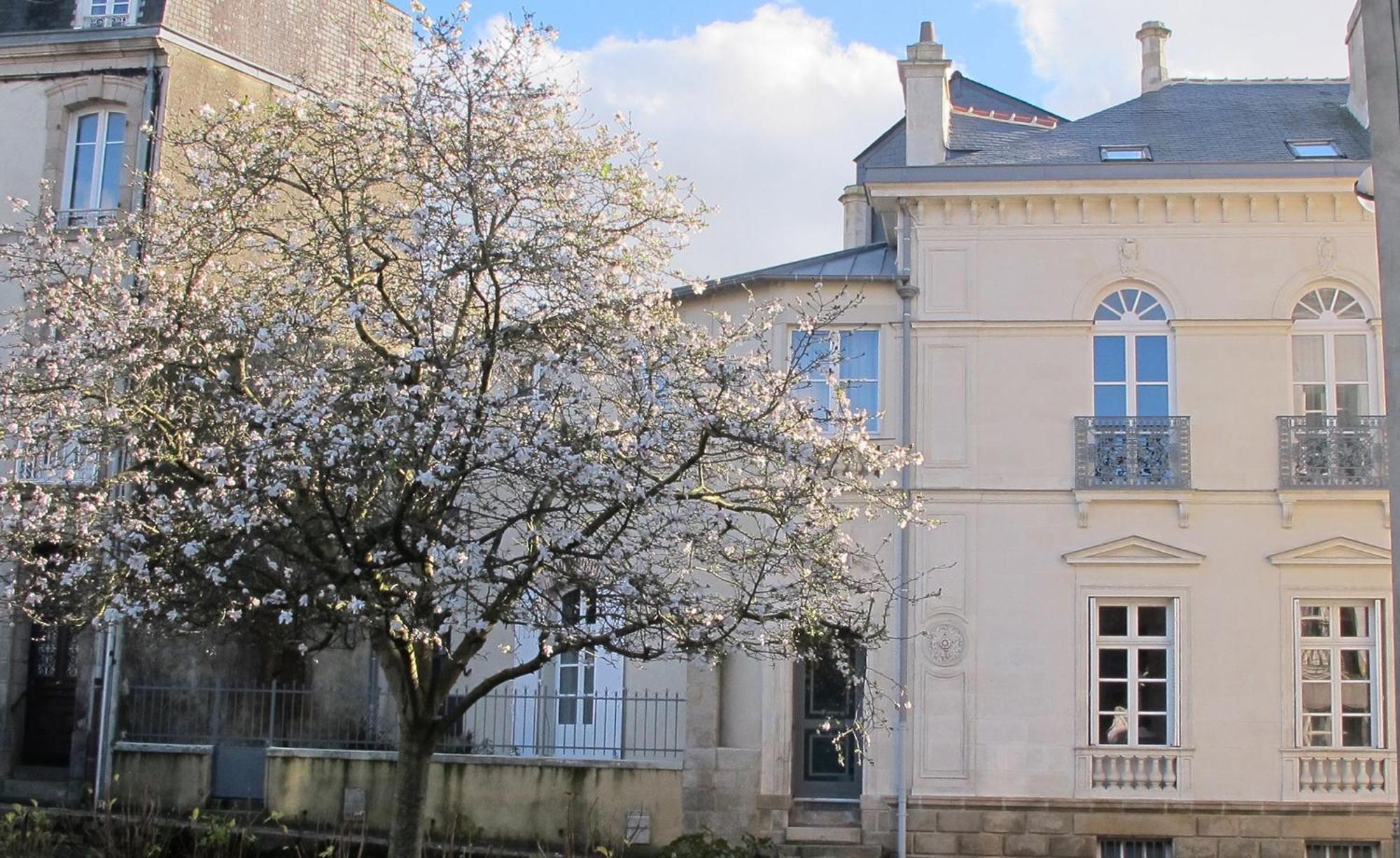 Une Suite A Vannes Bagian luar foto